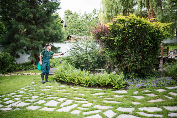 Professional Pest Control in Winter Park, FL