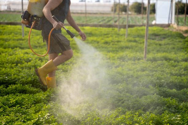 Best Affordable Pest Control Services  in Winter Park, FL