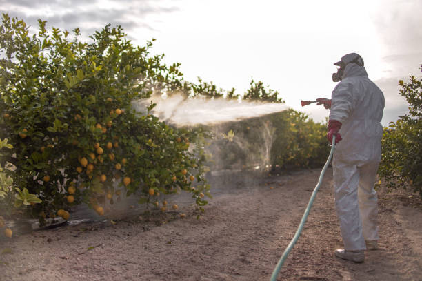Best Best Pest Control Companies  in Winter Park, FL