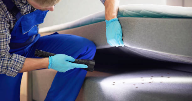 Trusted Winter Park, FL Pest Control Experts